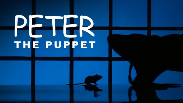 Peter's on the prowl