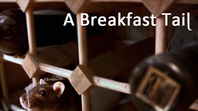 A Breakfast Tail