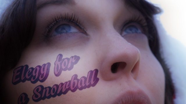 Elegy for a Snowball