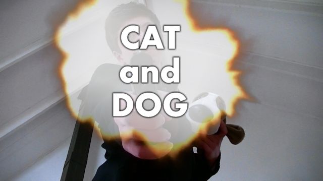 CAT and DOG