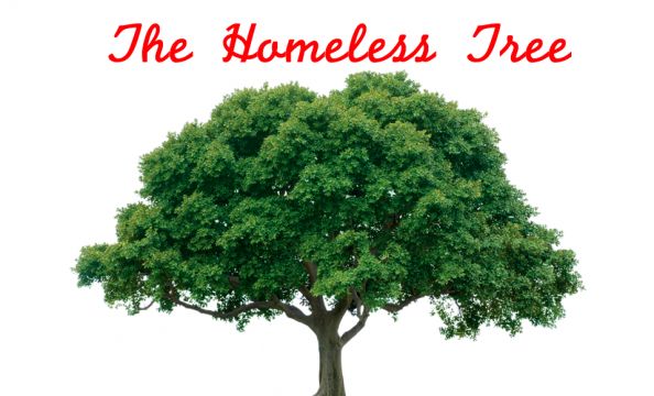 The Homeless Tree