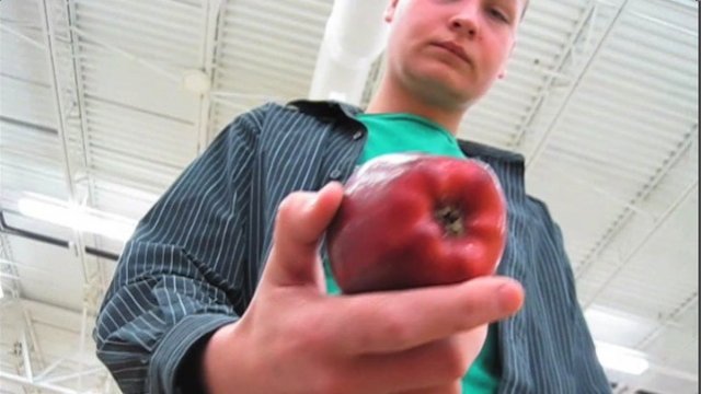 A.D.I.T.L.O. An Apple