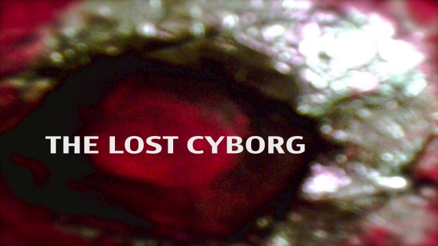 The Lost Cyborg