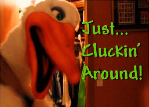 Just Cluckin' Around! 