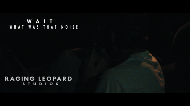 Wait, What Was That Noise