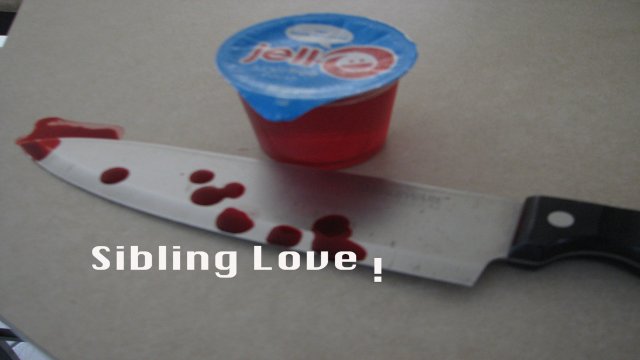 Sibling Love
