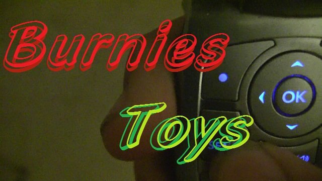 Burnies Toys