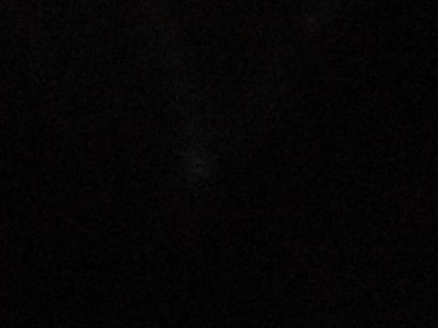 nobody move-toy story