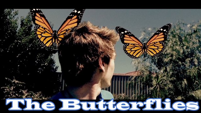 The Butterflies