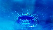 Orchard Road View........