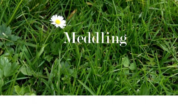 Meddling