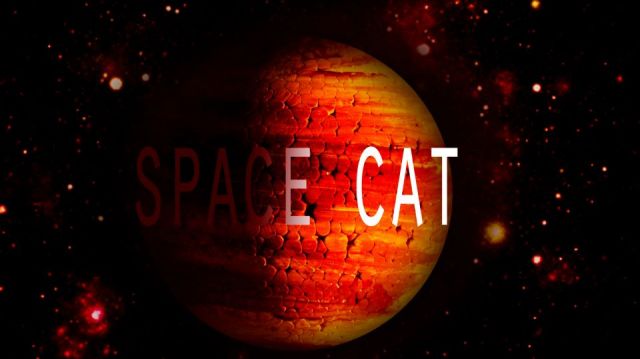 Tha space cat